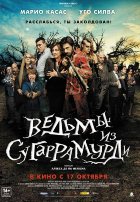 Ведьмы из Сугаррамурди (2013)