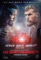 Никогда не сдавайся 3 (2016) Никогда не сдавайся 3 (2016)