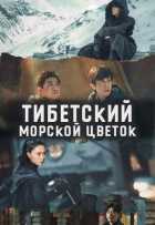 Тибетский морской цветок Тибетский морской цветок